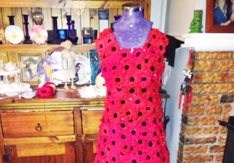 The Red Poppies Remembrance Story post image