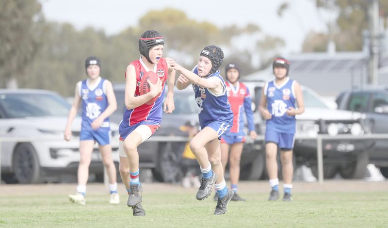 Donald Under-14s at Their Best post image