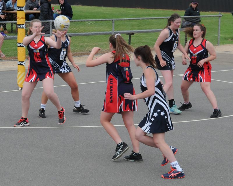 Netball at Charlton post image