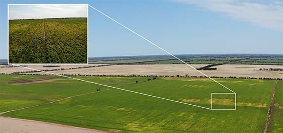 Tips to Recover Bogged Machinery Safely post image