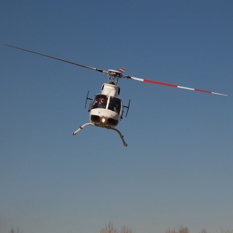 Helicopter Survey on Victoria’s Game Ducks post image
