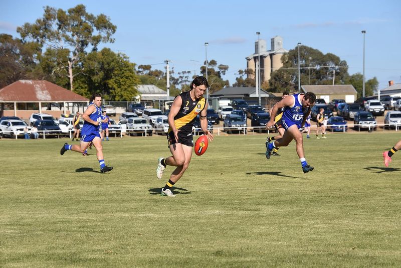 Tigers Top League Votes post image