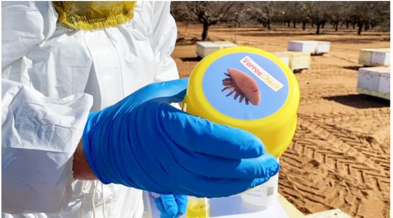 Varroa Mite Information . . . The Alcohol Wash post image