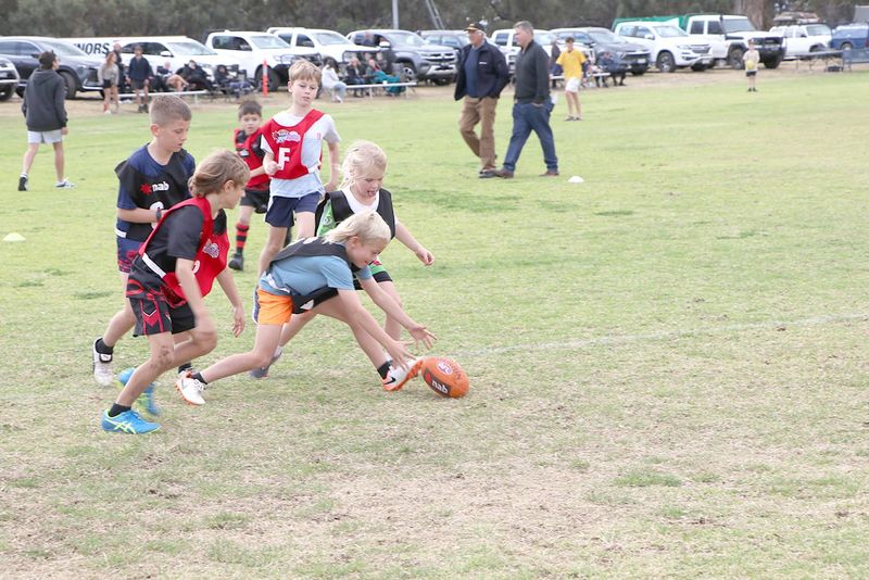 Juniors Share the Honours post image