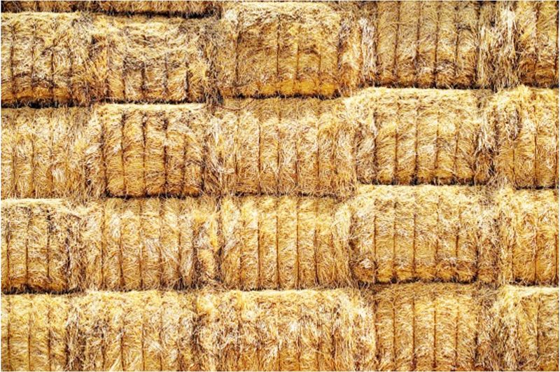 Hay Baling: Watch Moisture Levels post image
