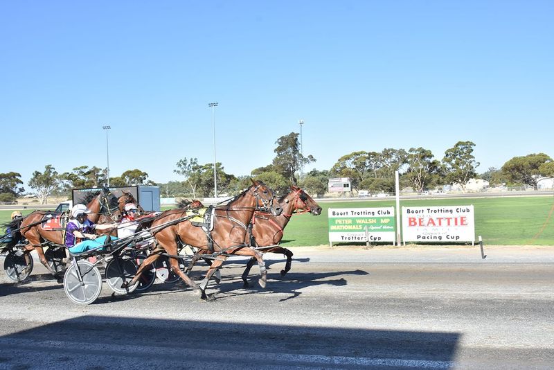 Early Start at Birchip Trots post image