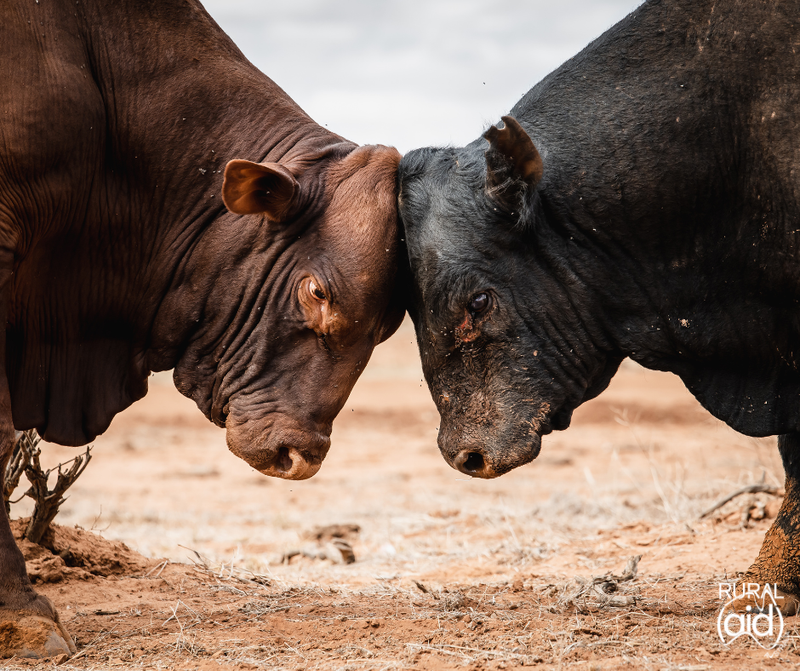 Popular Photography Competition Returns post image