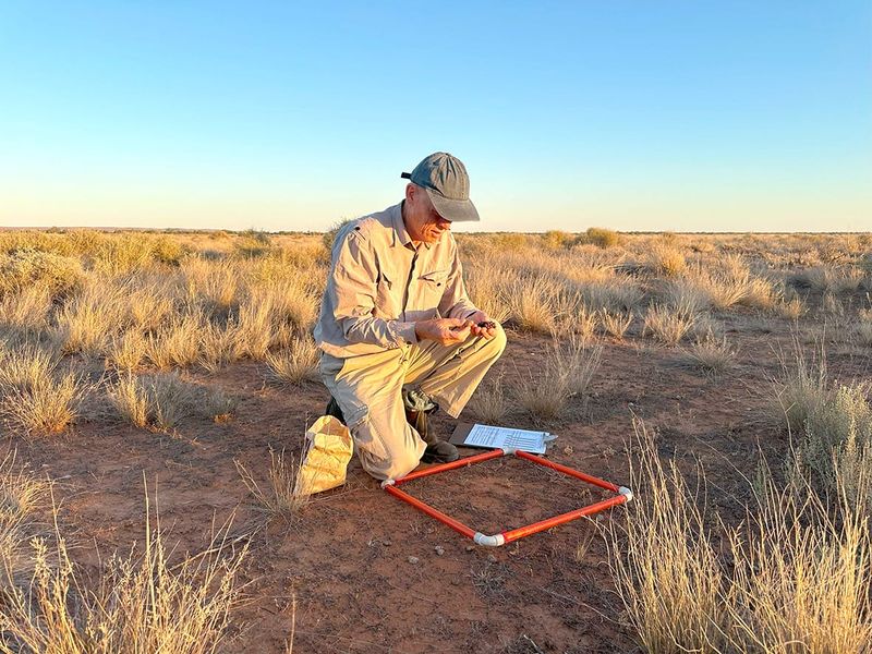 Dung Data to Help Improve Herbivore Distribution Maps post image