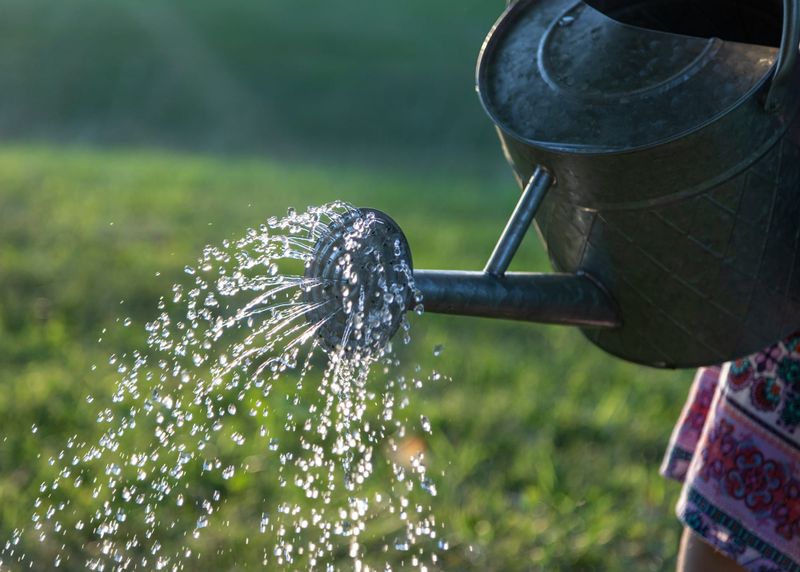 Water Corporations Stand Together post image