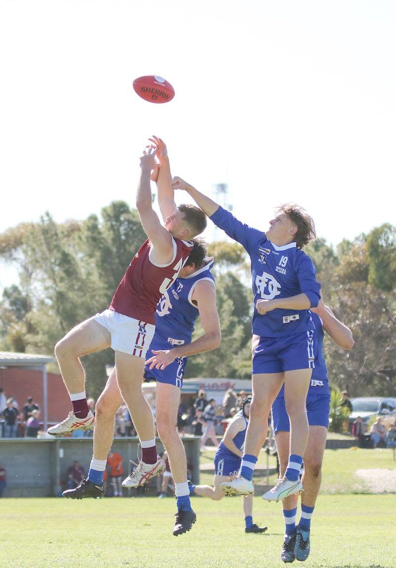 Can Bulls Halt Tigers’ Run? post image