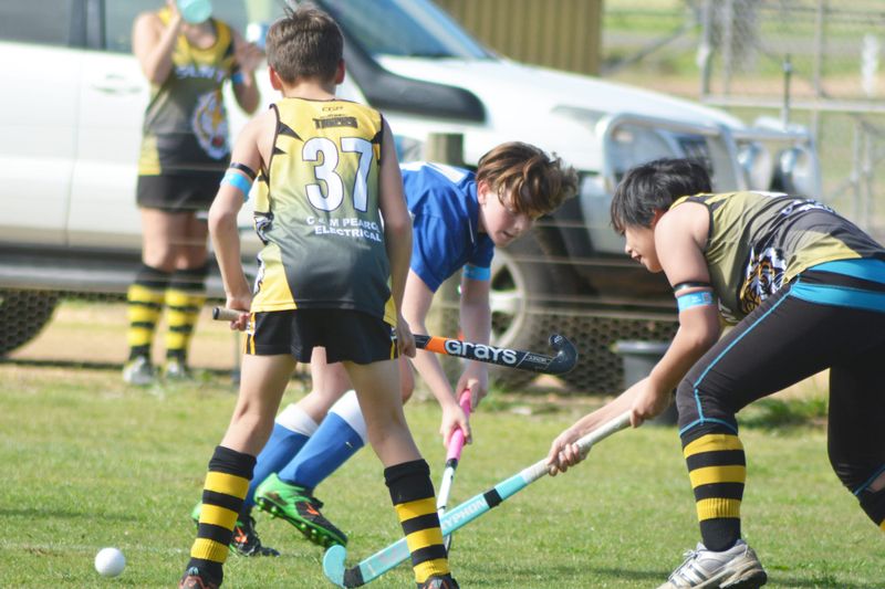 Hockey Youngsters Go In Hard at Donald post image