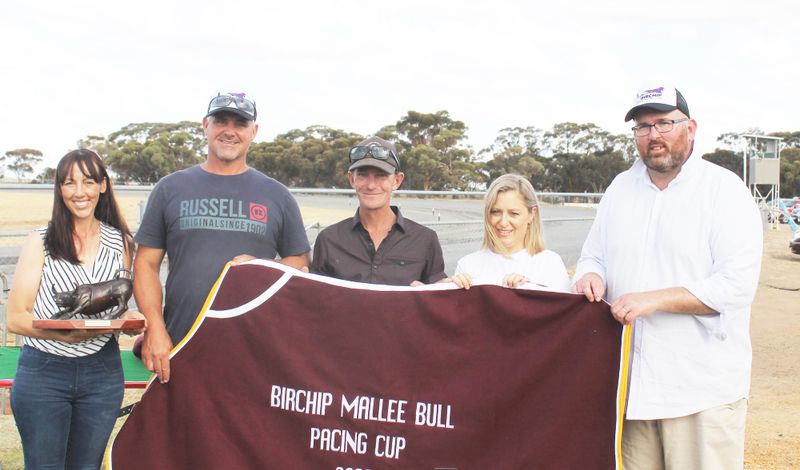 Platinum Stride Wins Mallee Bull Cup post image