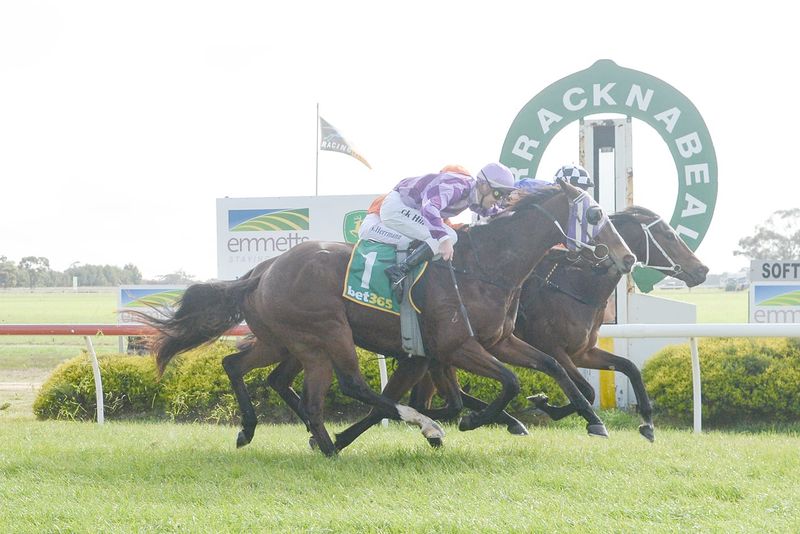 Donald Races at Warracknabeal post image