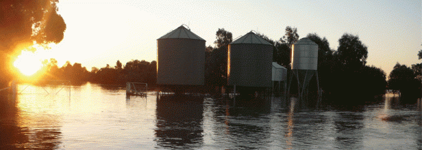 Financial Support for Flood-Affected Farmers post image