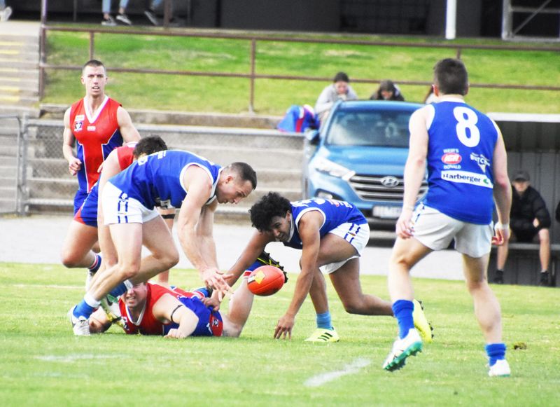 Friendly Foes Share the Spoils post image
