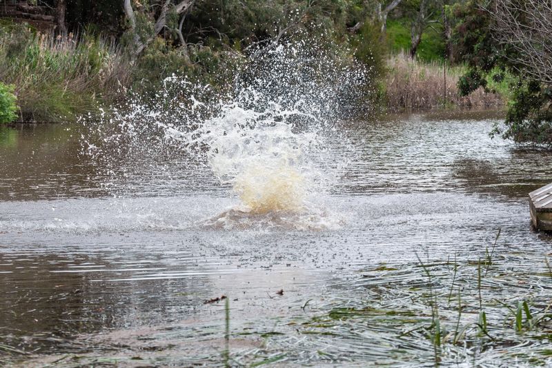 Birchip Landcare Shares Healthy Rivers Grants post image
