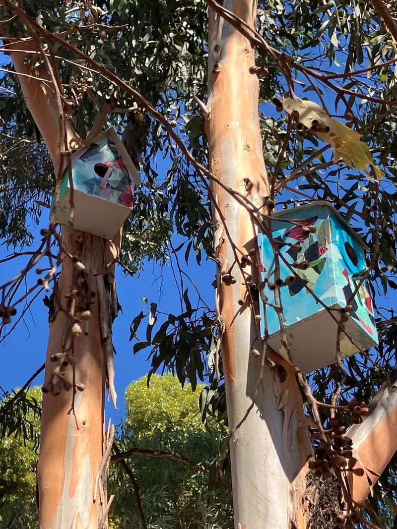 Biodiversity Trail Final Installations Complete post image