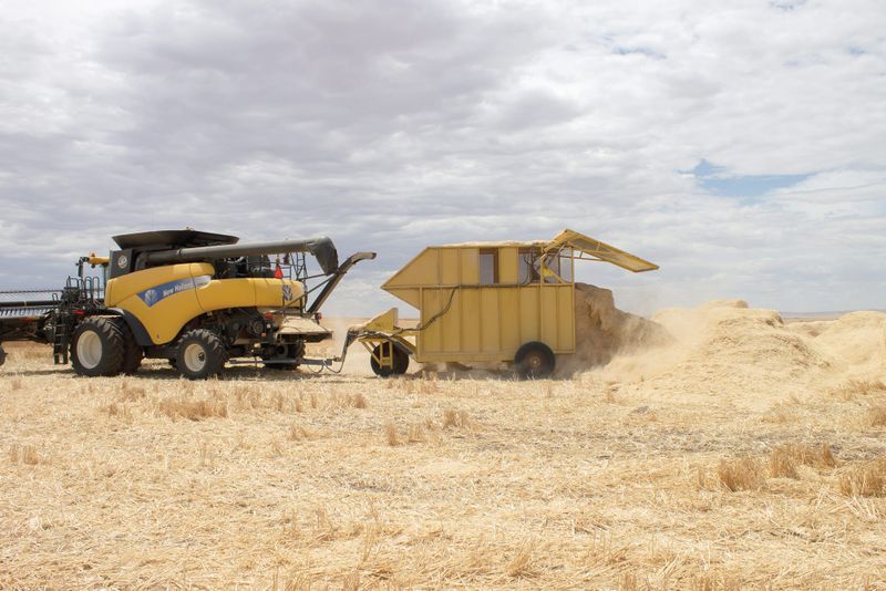 Australian grain growers tackle herbicide resistance post image