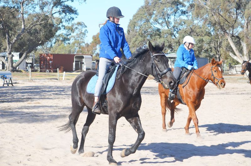 Equestrian Clinic post image