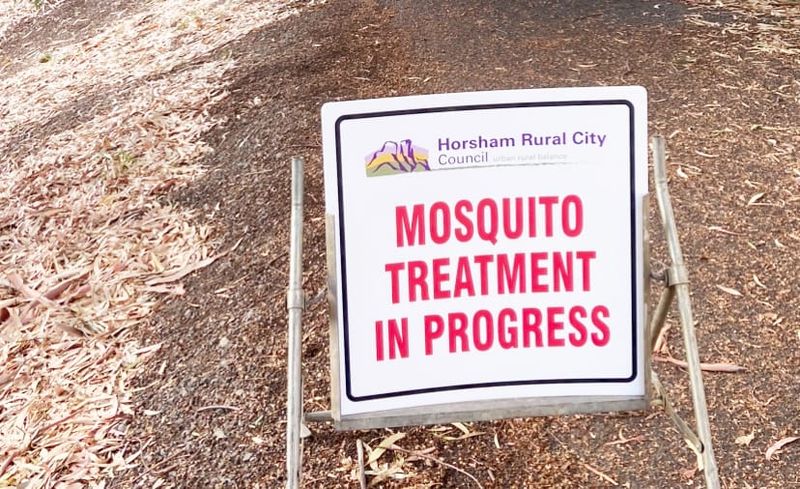 Adult Mosquitoes Targeted After Disease Transmission post image