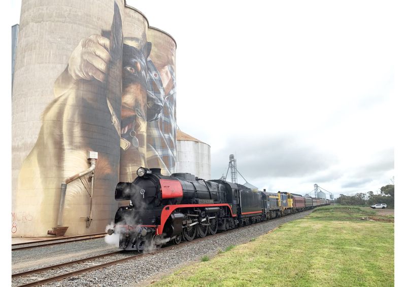 “Race” the Train – Unique Twist on Wyche Fun Run post image