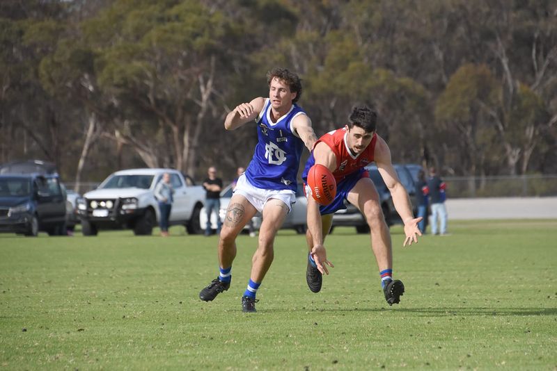 Magpies Soar as Tigers Tumble post image