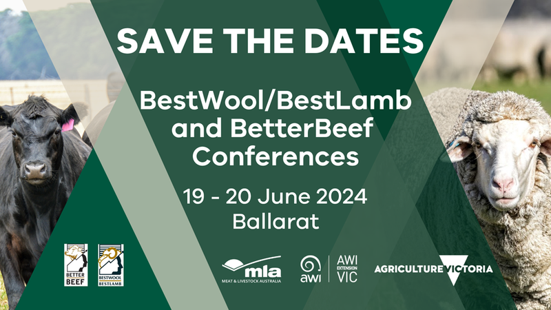 Book early for Ballarat Sheep and Beef Conferences post image