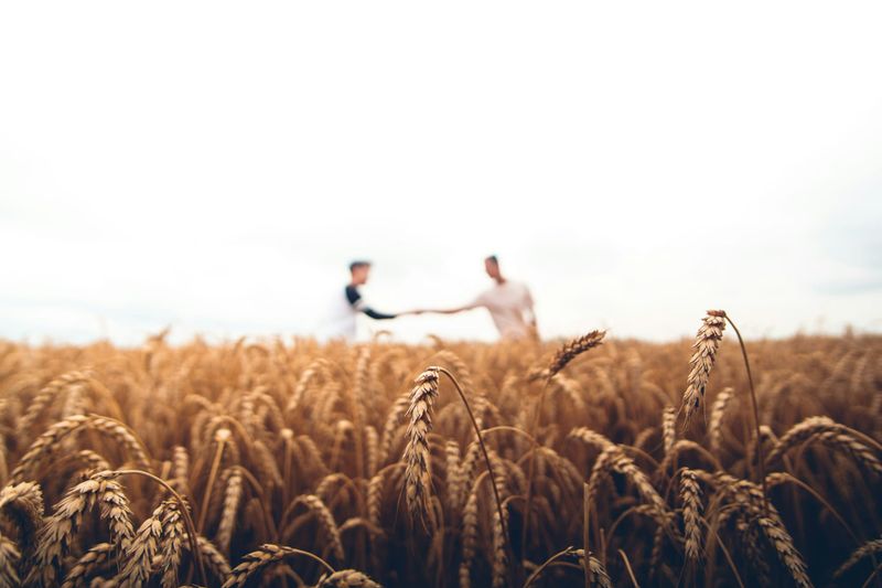 Farmer Friendly Mental Health Support: What Do Farmers Want? post image