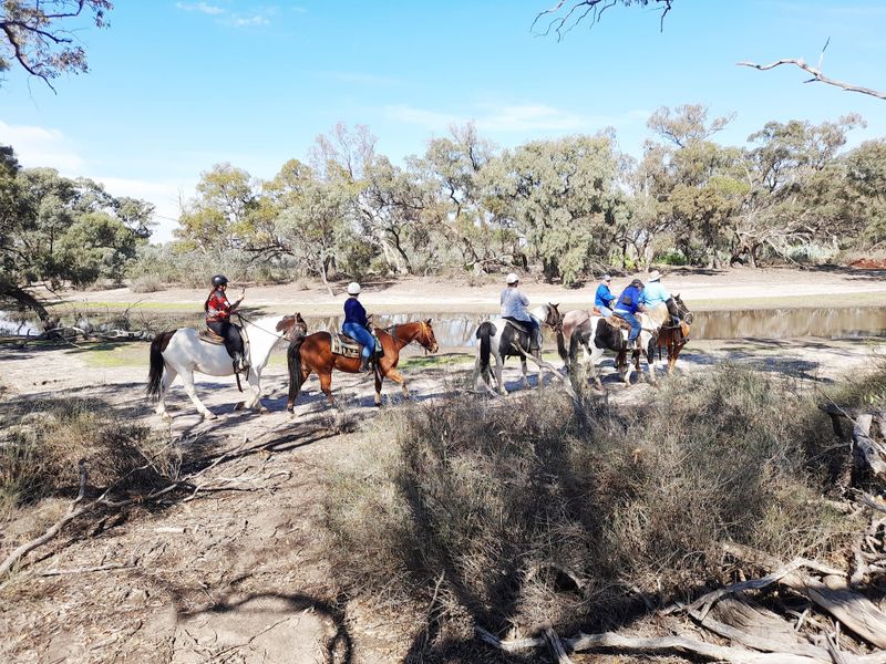 On a Bush Trail Ride With “Squatter” Coffey post image