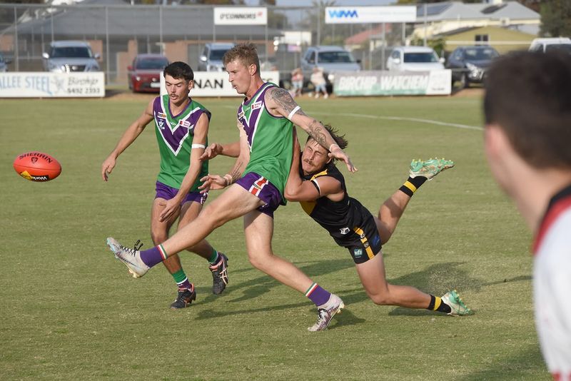 Undefeated Bulls Tame Tigers post image