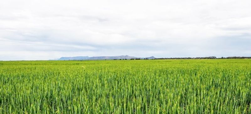 Innovative Recycled Water Project Gets Green Light post image