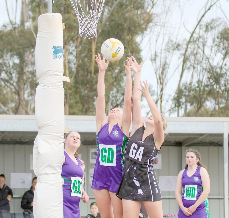 Bulls’ Big Netball Day at Boort post image
