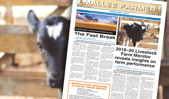 FEBRUARY - Friday, February 12, 2021 post image