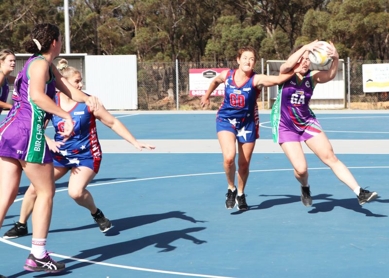 North-Central Netball post image