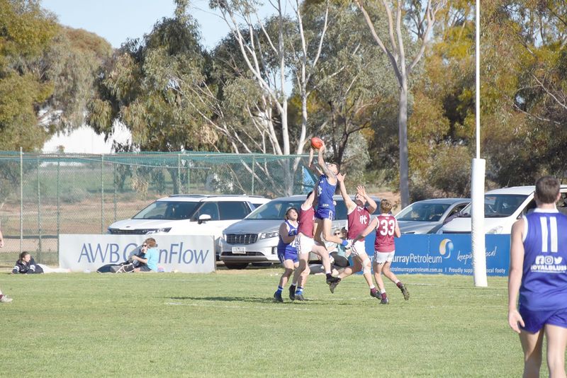 Nullawil’s Season Well and Truly Alive post image