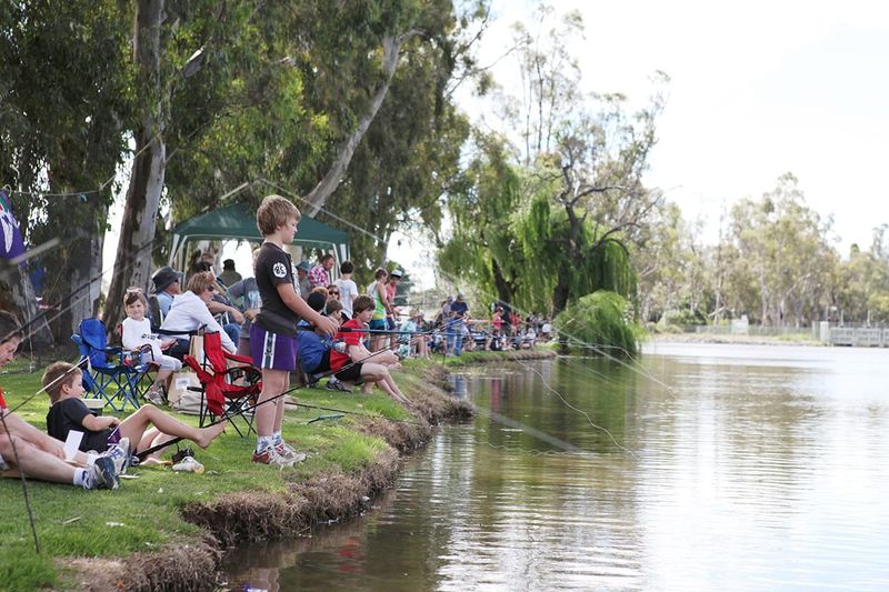 Cohuna Carp Catch is Back post image