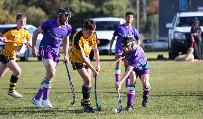 Bulls and Tigers Battle for Hockey Honours post image
