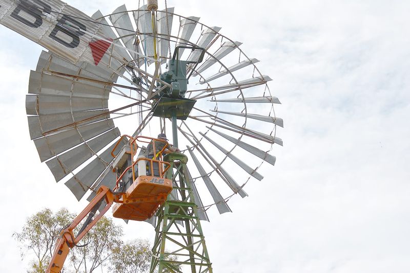 Welcome Back, Windmill — Donald’s Biggest Fan post image