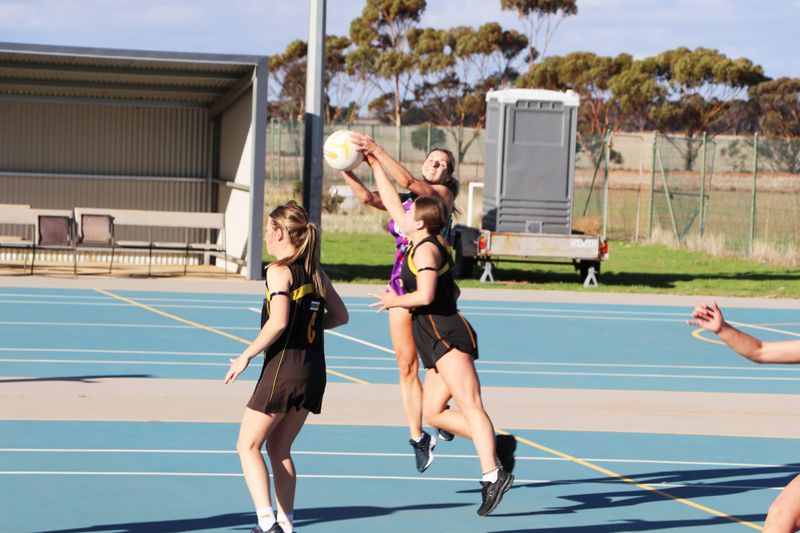 North-Central Netball post image