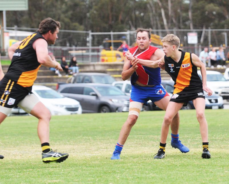 Insatiable Appetite Drives Tigers post image