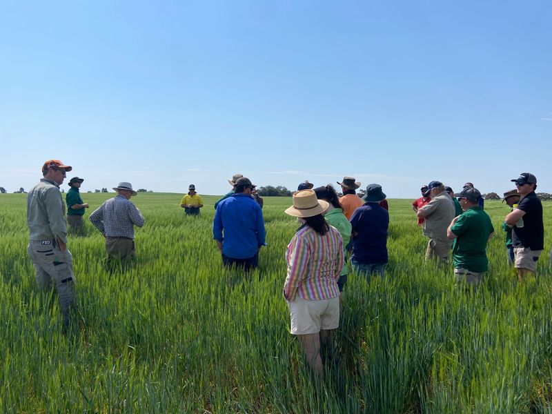 A Program Cultivating Farm Business Futures post image