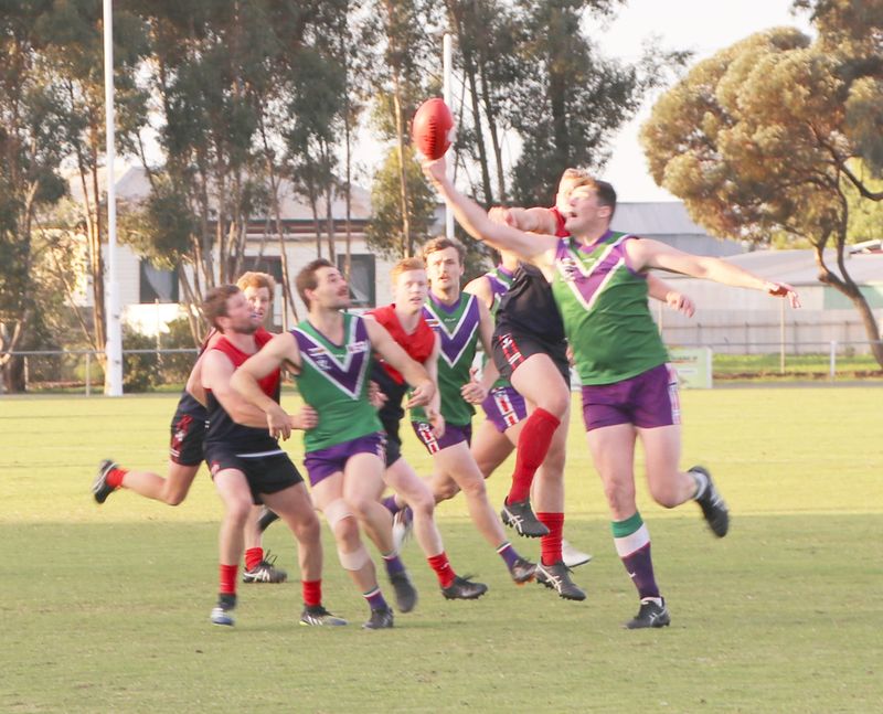 Battling Bulls Contain Hard Working Dees post image