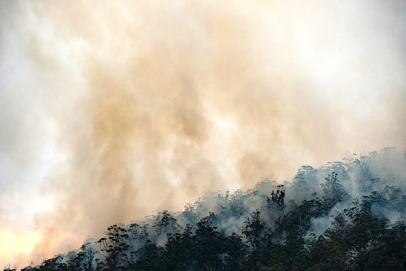 Bushfire Impacted Farmers Welcome Recovery Support post image
