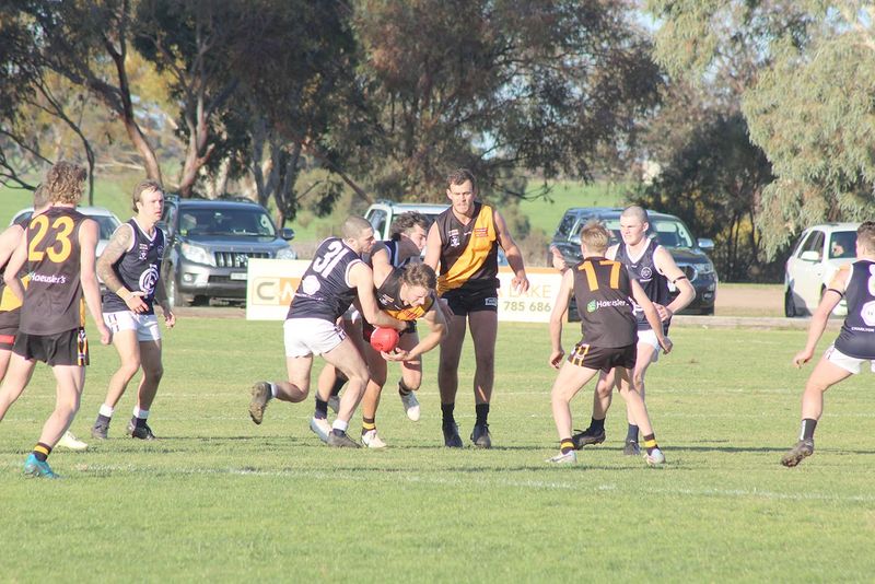 Classy Tigers Remain Undefeated post image