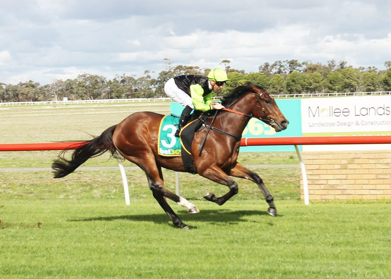 Weir’s IGA Classic Race Day at Donald: Holland Wins Three post image