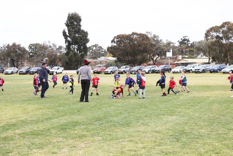 Auskick at Wedderburn post image