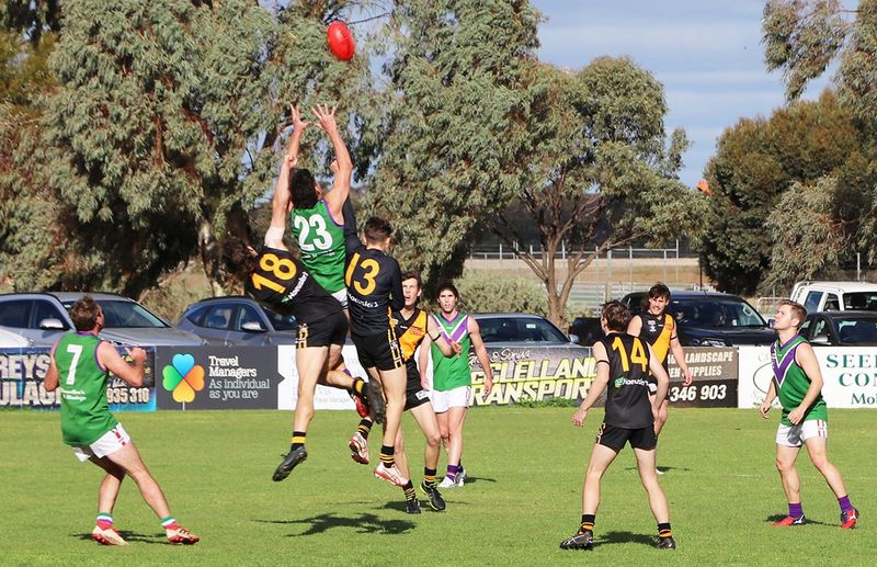 Resolute Bulls Tame the Tigers post image