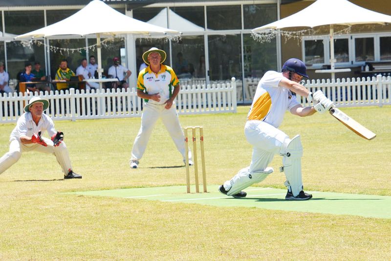 Cricket Cropped post image