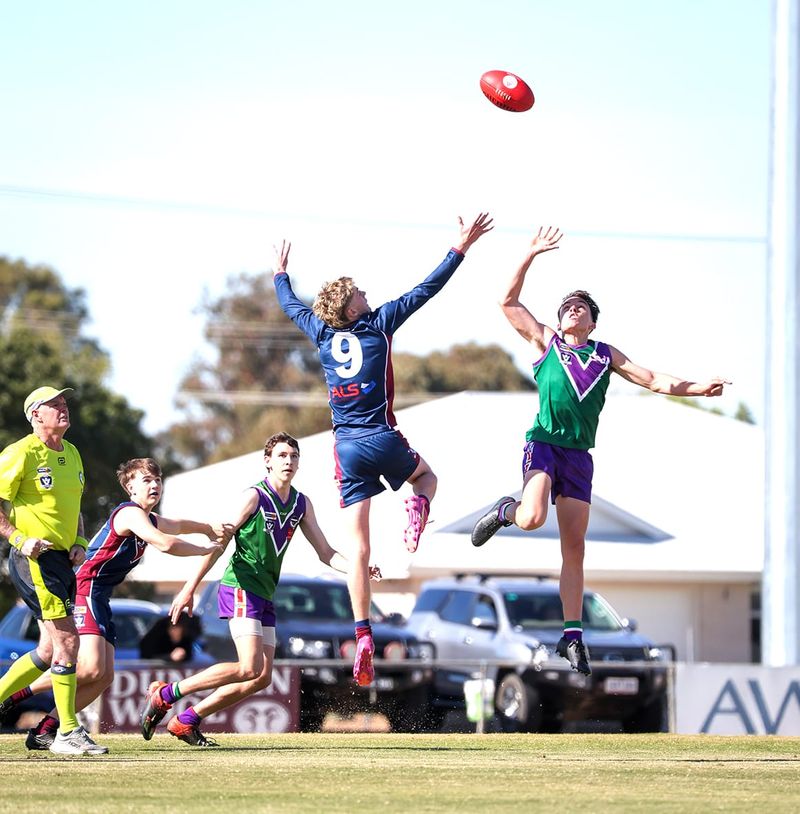 Lions Outmuscle Bulls post image