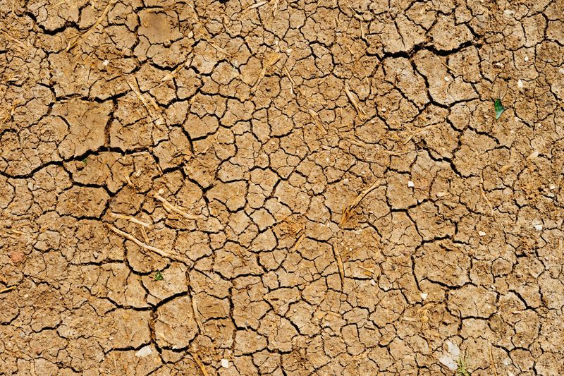 Drought Resilience Applications Open post image